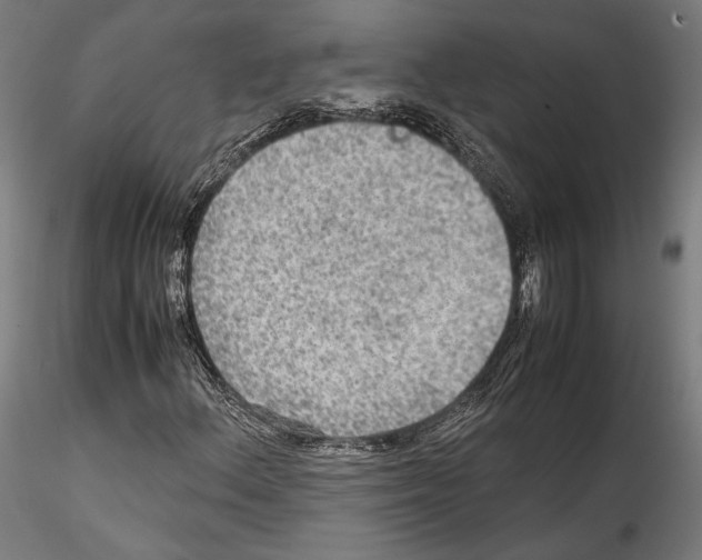 X0000114561156200911301241