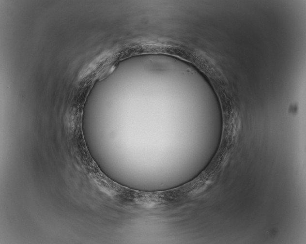 X0000114561157200911301241
