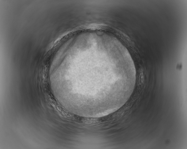 X0000114561158200911301241