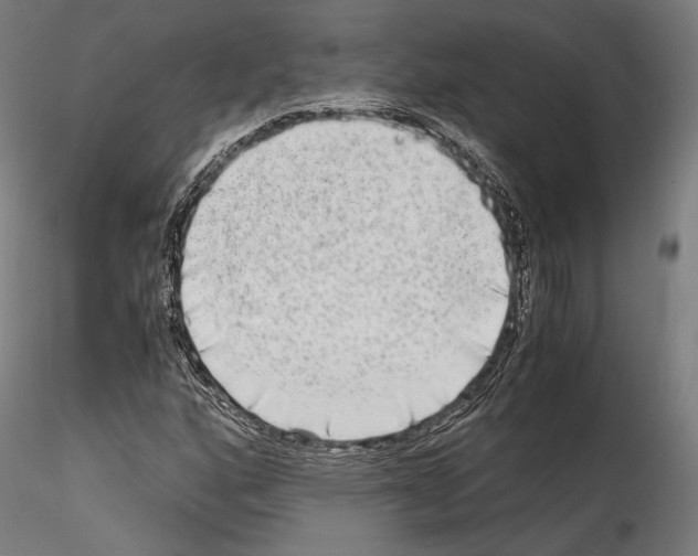 X0000114561160200911301241