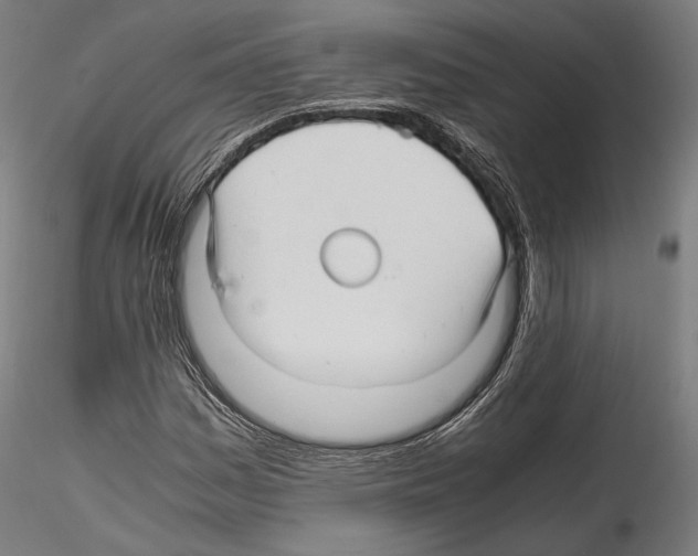 X0000114561161200911301241
