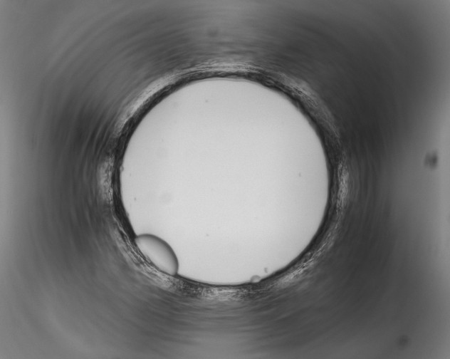 X0000114561162200911301241