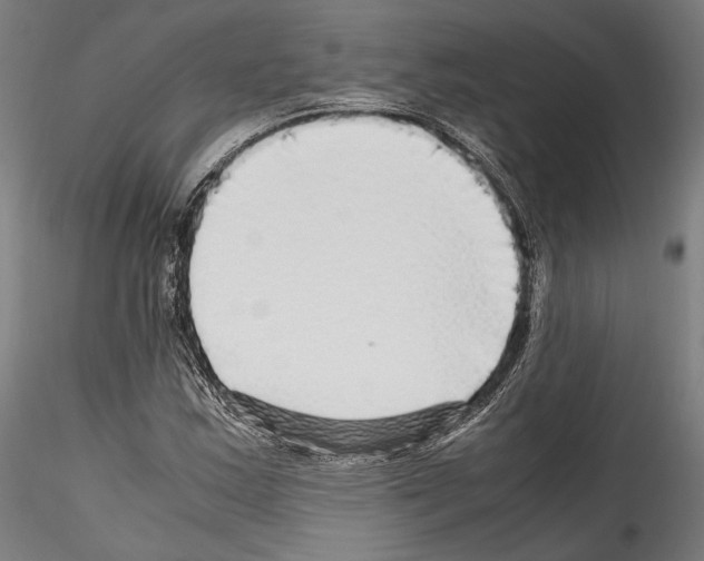 X0000114561163200911301241