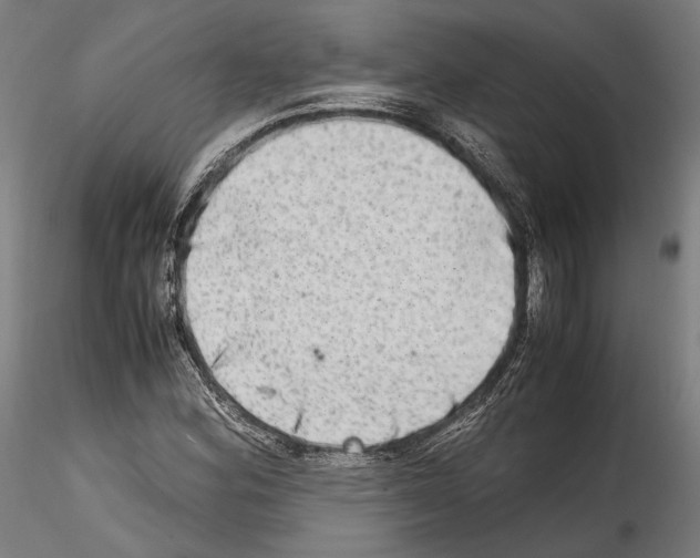 X0000114561164200911301241