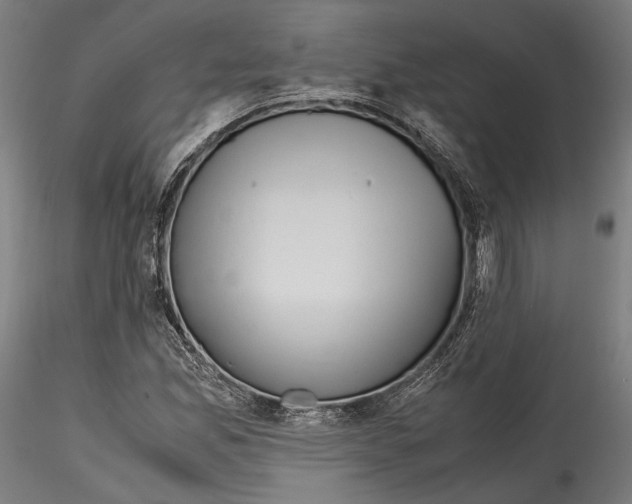 X0000114561165200911301241