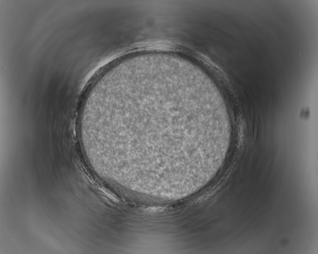 X0000114561166200911301241