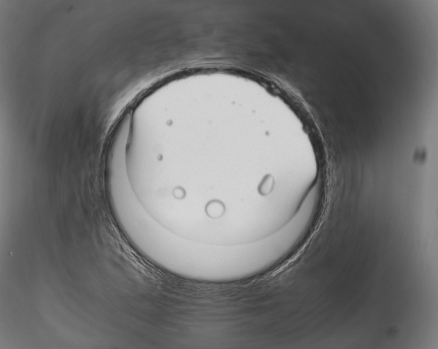X0000114561167200911301241