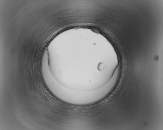 X0000114561169200911301241