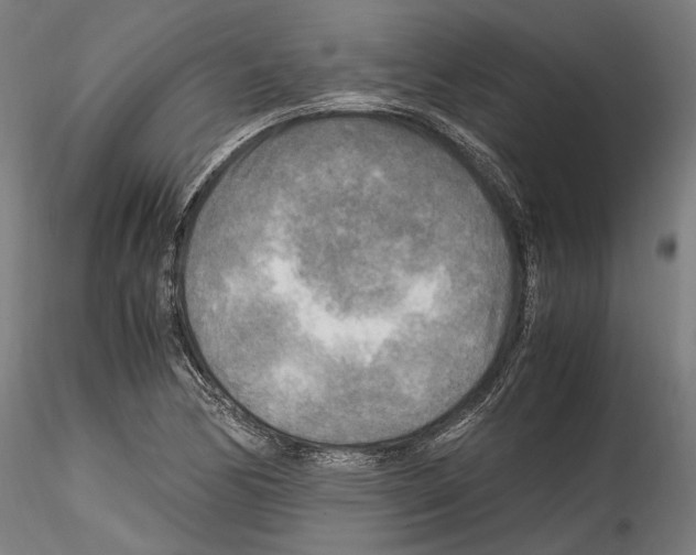 X0000114561170200911301241