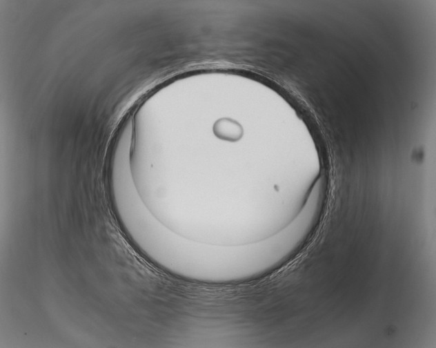 X0000114561173200911301241