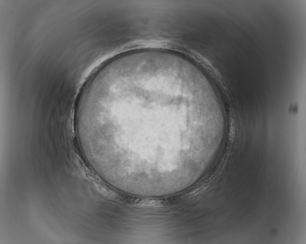 X0000114561174200911301241