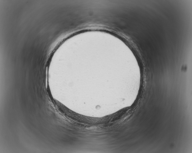 X0000114561175200911301241
