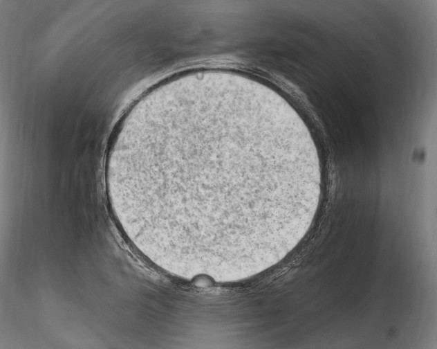 X0000114561176200911301241