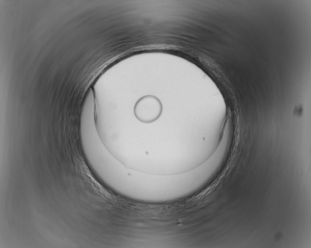 X0000114561177200911301241