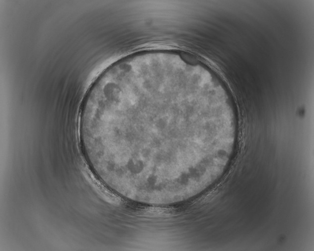 X0000114561179200911301241