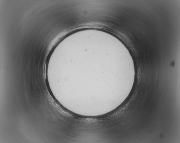 X0000114561180200911301241