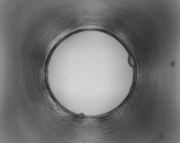X0000114561181200911301241