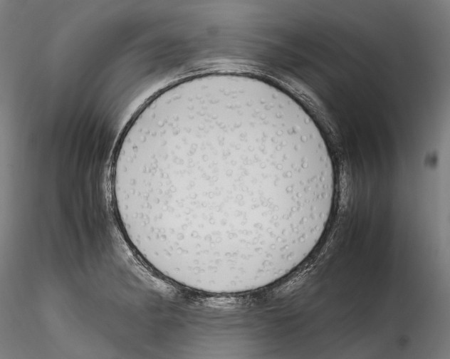 X0000114561182200911301241