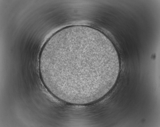 X0000114561184200911301241