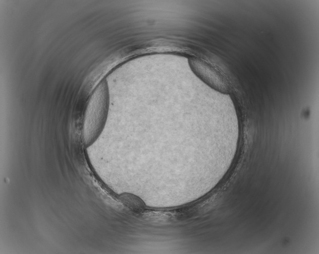 X0000114561185200911301241