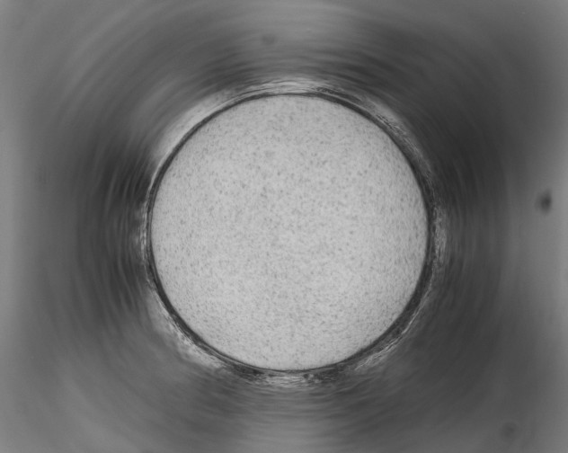 X0000114561186200911301241