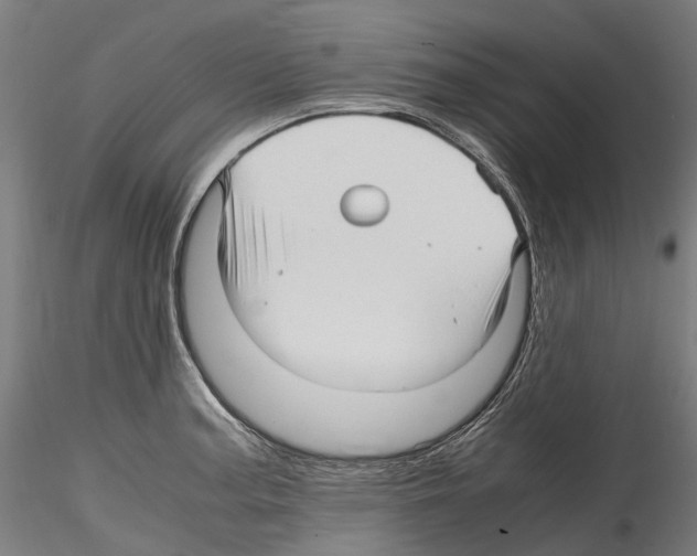 X0000114561187200911301241