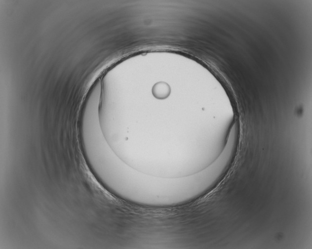 X0000114561189200911301241