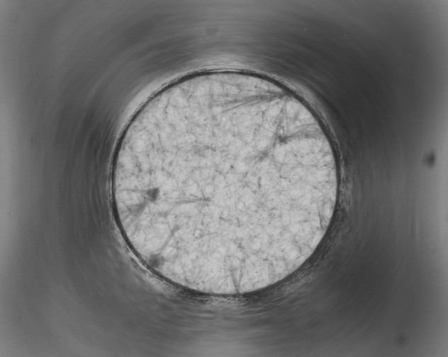 X0000114561191200911301241