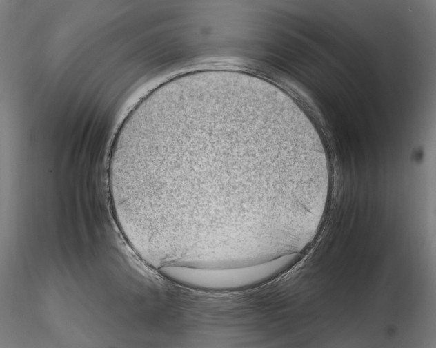 X0000114561192200911301241