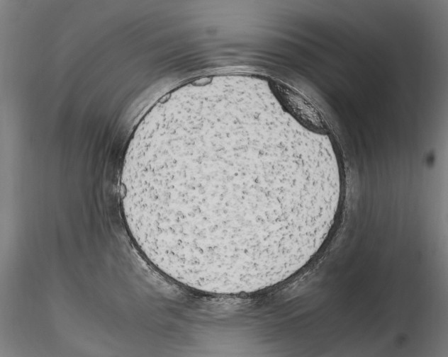 X0000114561193200911301241