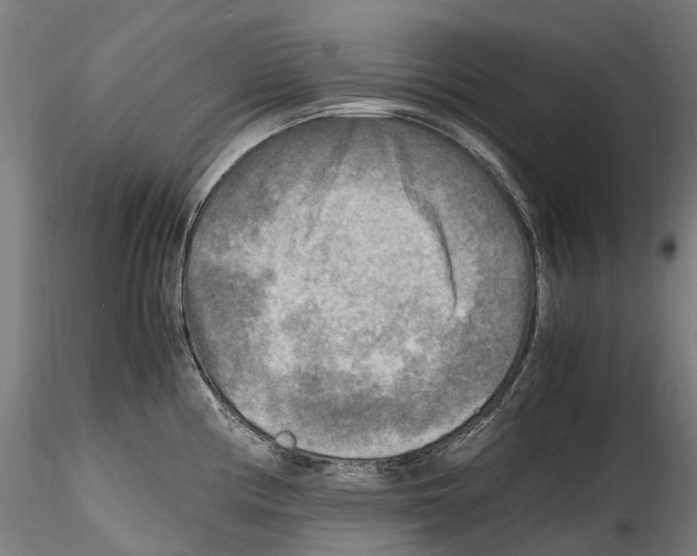 X0000114561194200911301241