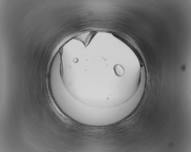 X0000114561195200911301241