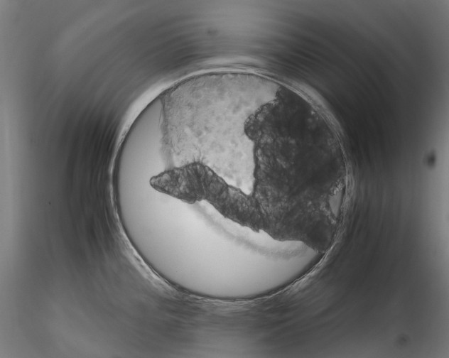 X0000114561196200911301241