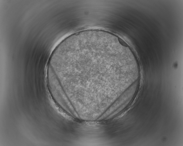 X0000114561198200911301241