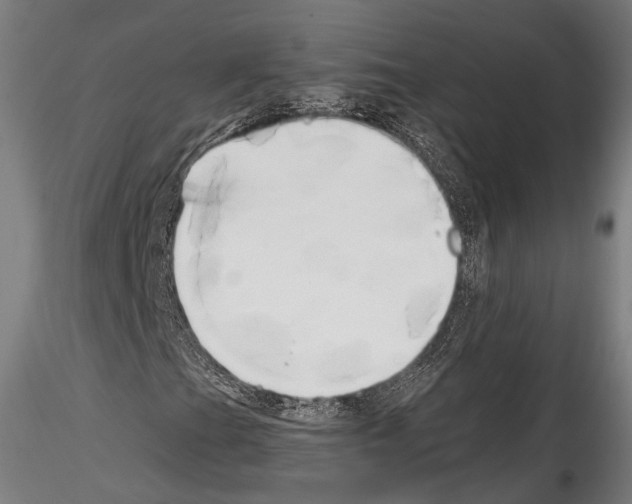 X0000114561201200911301240