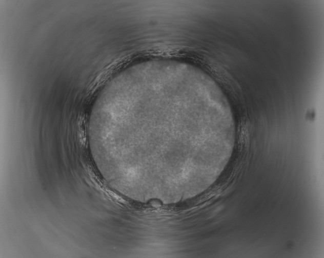 X0000114561202200911301240