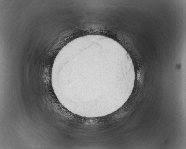 X0000114561203200911301240
