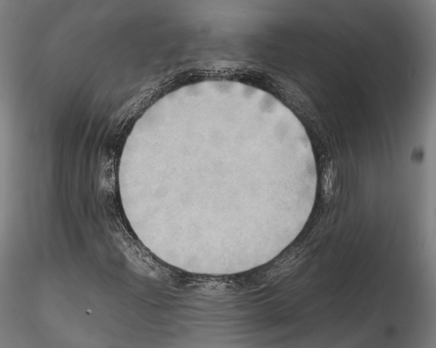 X0000114561204200911301240