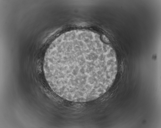 X0000114561205200911301240