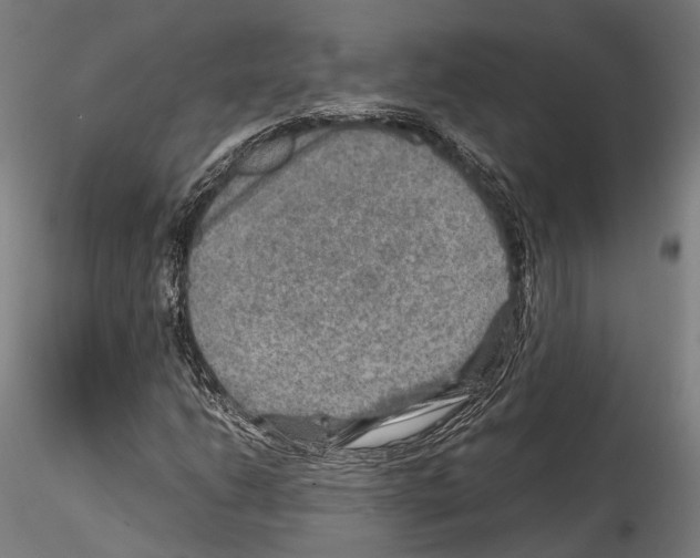 X0000114561206200911301240