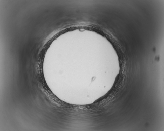 X0000114561208200911301240