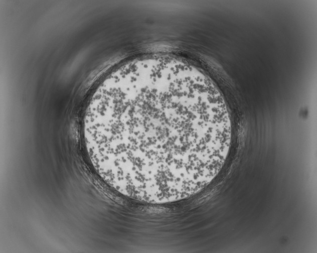 X0000114561209200911301240