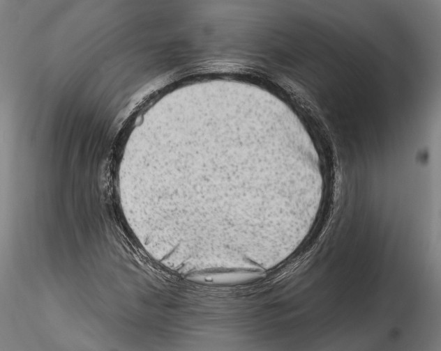X0000114561210200911301240