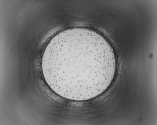 X0000114561211200911301240