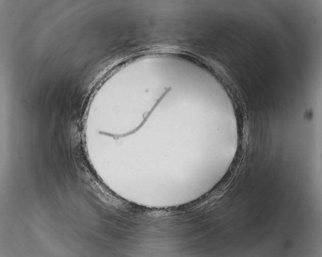 X0000114561212200911301240