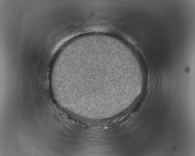X0000114561214200911301240
