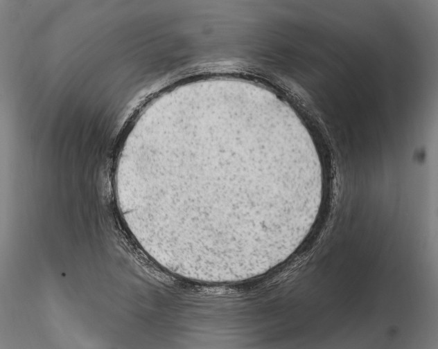 X0000114561218200911301240