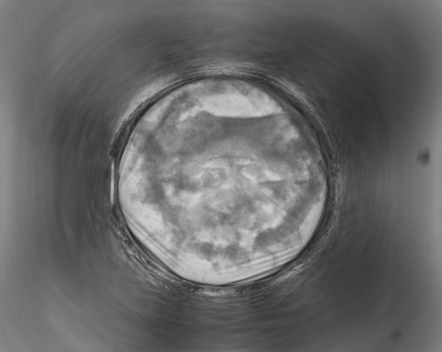 X0000114561219200911301240