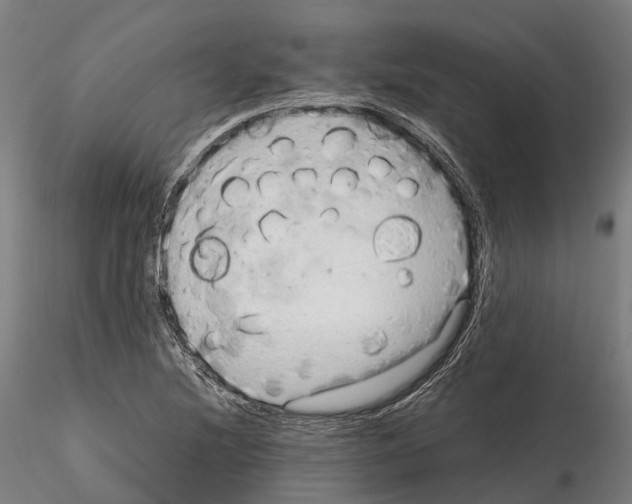 X0000114561220200911301240