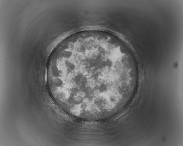 X0000114561221200911301240